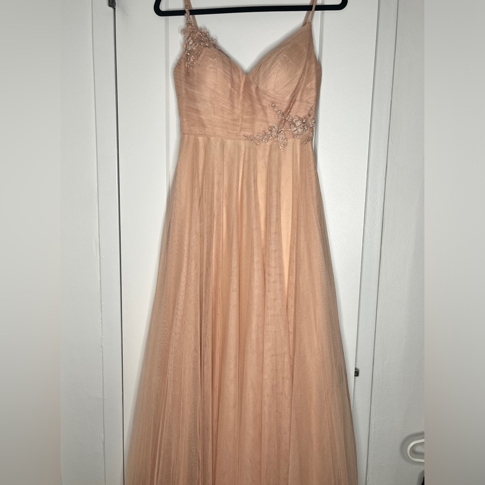 Jenny Yoo pale pink tulle maxi dress with based flower appliqué